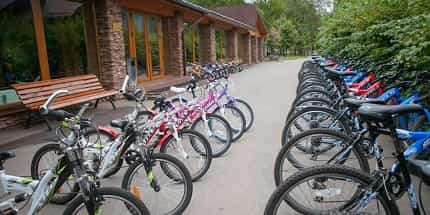 Бильярдная